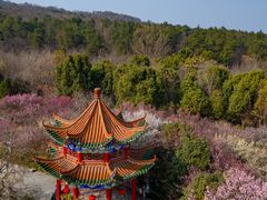 -开福禅寺