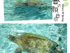 -卡帕莱度假村(西巴丹岛)
