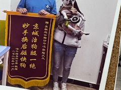 -美联众合动物医院·24h转诊中心