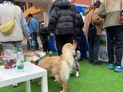 -瑞鹏宠物医院·超声·骨科·奇麟分院(蜀都万达店)