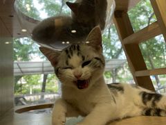 -熊小胖宠物生活馆(天华园店)