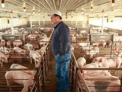 -肯德基(国展店)