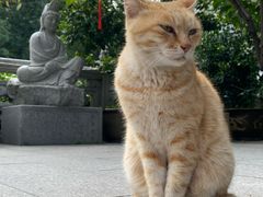 -福州开元寺