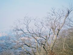 -紫金山山顶公园