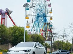 -巨鹏飞梦幻海岸