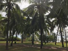 -瑰丽酒店·海吧·天际下午茶·现场DJ·天台酒吧