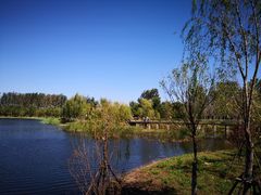 -东郊湿地公园