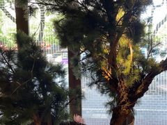 -東大方(海宁海昌路店)
