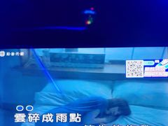 -星歌汇PARTY KTV•观澜兴万达店