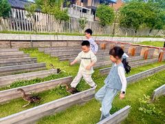 -黄陂区野村谷景区