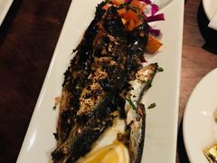 -Fish Hopper