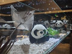 -红辣椒·川菜·火锅(张杨路店)