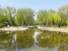 -丰台科技园生态主题公园