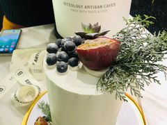 -Biteology Artisan Cakes(红庄·国际文化保税创新园店)