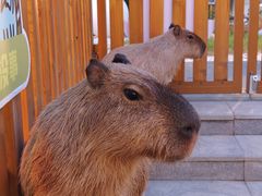 -郑州银基黄帝宫御温泉