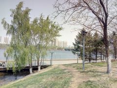 -长白岛森林公园