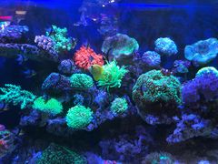 -海合安成都极地海洋公园