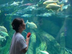 -波塞冬旅游度假区