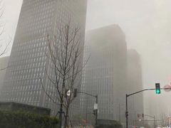 -陆家嘴世纪金融广场