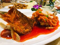 松子桂鱼-红城阁·上海味道(四平路店)