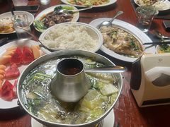 -绿光森林餐厅