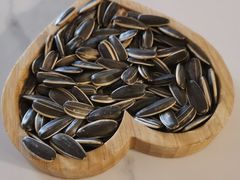 -岳姥姥饺子(泺文路店)