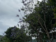 -白石龙音乐公园