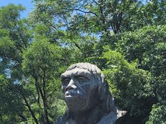 -北京周口店北京人遗址博物馆