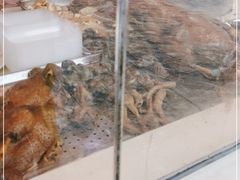 -壹只卤鹅·潮汕菜(莲塘店)