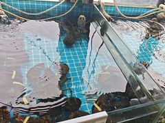 -渡海小渔村.老辈日照菜