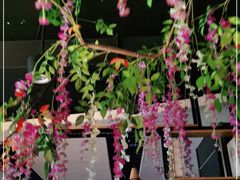 -要德火锅(鼓楼店)