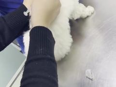 -哆趣宠物医院·眼科·内镜·急重症转诊中心(上海店)