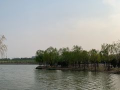 -东郊湿地公园