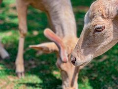 -野鸭湖国家湿地公园