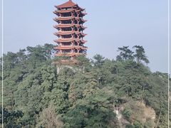 -缙云山景区