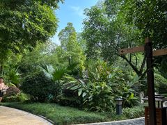 -海兰云天度假区温泉