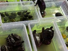 -华声天桥民俗文化园