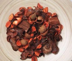 -初颜品佑肌肤管理