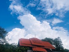 -大屏嶂森林公园