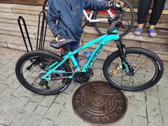 -道路口单车爱瓦士dahon大行