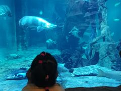 -华夏文旅海洋公园