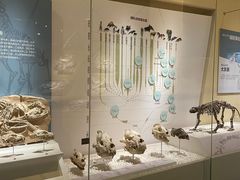 -国家自然博物馆