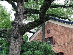 -广州中山纪念堂