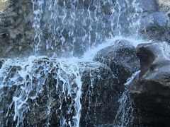 -西双版纳傣族园