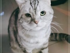 -汇贤府·李氏鲁菜(五棵松店)