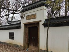 -西湖风景区十里琅珰-五云山