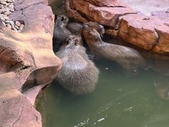 -长鹿旅游休博园