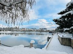 -莫内艺术岛海景咖啡