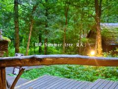 -五营红松林海景区