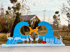 -盐城丹顶鹤湿地生态旅游区